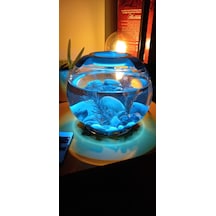 Fanus Akvaryum 3d Baskı Aydınlatma