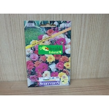 İpek Çiçeği Tohumu Paket N111332