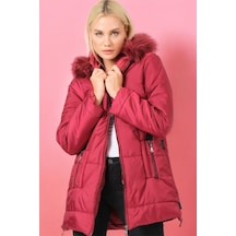 Z6668 Dewberry Bayan Kaban-düz Bordo-düz Bordo
