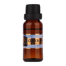 Okyanus