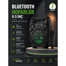 Zenvia 10w Güçlü Ses Performanslı Bluetooth Karaoke Hoparlörü Znv2026