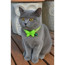 Mıt Kedi Boyun Tasması Kelebekli Yeşil