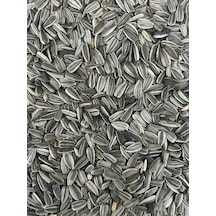 Majo Çekirdek Tamamlayıcı Kuş Yemi 5 Kg