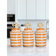 Baharatlık - Seramik Kapaklı 3 Lü Soft Sarı Zebra Gold