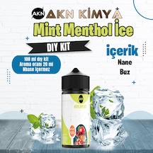 Mint Menthol Ice Dıy Kit Nane Buz Gıda Aroması %20 Oranda Aroma İçerir Hazır Değildir 100 Ml