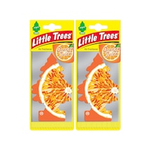 Little Trees Orange Juice Portakal Asma Oto Kokusu 2 Adet