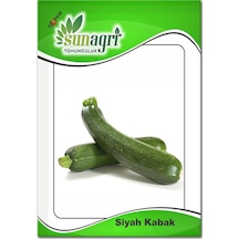 Siyah Kabak Tohumu