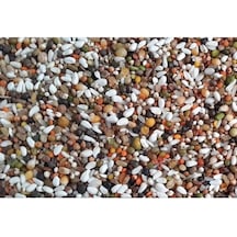 Güvercin Yemi Karışık Güvercin Yemi Lüx Ekonomik 1 Kg