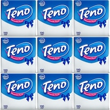 Teno Peçete 9 x 100'lü