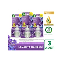 Elektrikli Oda Kokusu Yedek Şişe Lavanta Bahçesi 3x19 Ml