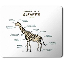 Zürafa Anatomi Giraffe Anatomy Baskılı Mousepad Mouse Pad