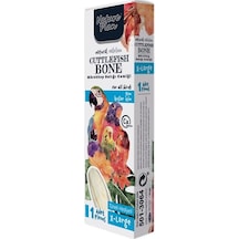 Nature Plan Mürekkep Balığı Kemiği X-large 12