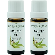 10 ML