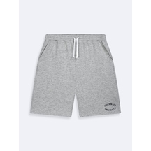 LTB Varsity Baskılı Örme Gri Şort