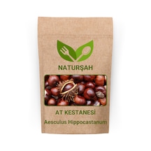 Naturşah At Kestanesi Aesculus Hippocastanum Tüketilmez 100 G