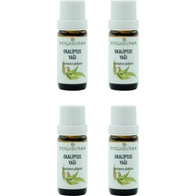 10 ML