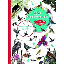 Muhteşem Kuşlar - Doğa Çıkartmaları- Teleskop Popüler Bilim