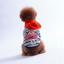 Turuncu Seattle Pitch Köpek Hoodie Köpek Sweat Köpek Kıyafeti Kedi Kıyafeti