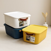 Renkli Kapaklı Organizer Kutu 10l 35x25x15 Cm Diğer