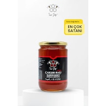 Toros Dağı Çakşır Balı 860 G