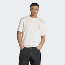Adidas Kb6217 Mascot Tee Cıao Erkek Tişört Gri