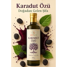 Şifakür Karadut Özü %100 Doğal Katkısız Rafine Şekersiz Tatlandırıcı 700g