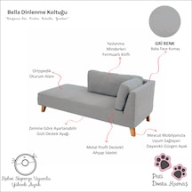 Bella Rahat Dinlenme Koltuğu Josefin Koltuk Psikolog Koltuğu Kitap Okuma Koltuğu Puf Koltuk Kanepe Sağ Gri