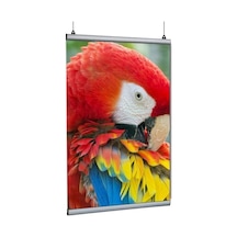 Poster Tutucu Clamp 70cm 2li Paket