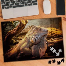 İguana Sürüngen Hayvan 240 Parça Puzzle Yapboz-75451