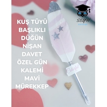 Çok Renkli