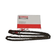 Eksantrik Zincir Ramzey 25h 102l