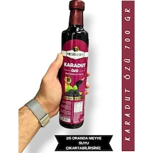 Mesiri Şifa Karadut Özü 700 G