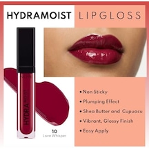 Hydramoist Lipgloss Nemlendirici Dudak Parlatıcısı - 10 Whisper - Bordo 0