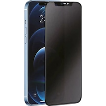 Newface Apple İphone 14 Pro 3d Antistatik Hayalet Cam Ekran Koruyucu
