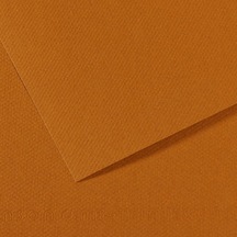 Canson Fon Kartonu Dokulu Mı-teıntes Sh Canmt 50x65 160g Brown 502 31032s109