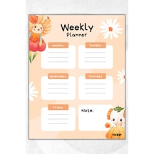 Çocuk Haftalık Planlayıcı - A4 - 30 Yaprak - Öğrenci Planlayıcı - Okul Planlayıcı - Ders Programı - 0660 Çok Renkli