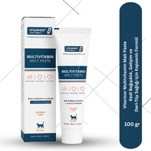 Vitarmor Multivitamin Malt Paste Kedi Bağışıklık, Gelişim Ve Deri-tüy Sağlığı İçin Kapsamlı Formül