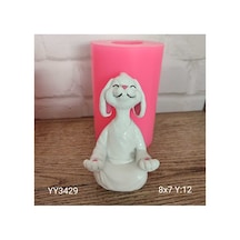 Yogacı Tavşan Silikon Kalıp