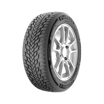Petlas 195/55 R16 87H Snowmaster 2 Kış Lastiği 2026