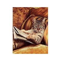 Keyfekeder Kedi Sayılarla Boyama Seti - Çerçeveli, 40x50cm