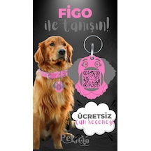 Petjoo 27.Figo Gri-Pembe Qr'lı Köpek Künyesi