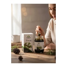 Esfabey Selvi Kozalak Bitkisel Karışımlı Macun 420 Gr