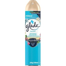 Aerosol Okyanus Sessizliği Oda Kokusu 300 Ml 1 X 300 Ml Açık Gri