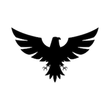 Kartal Tasarım Oto Sticker Siyah 21 29 Cm