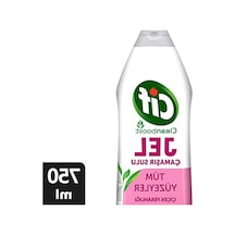 750 Ml Leke Çıkarıcı Yüzey Temizleyici, Çiçek Ferahlığı
