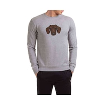 Dog Head Köpek Baskılı Gri Erkek Örme Sweatshirt (530944122)