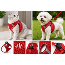 Nefes Alan Kumaş Air Mesh Kedi Köpek Göğüs Tasması Small 36x44 Cm Kırmızı