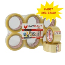 6 Adet
