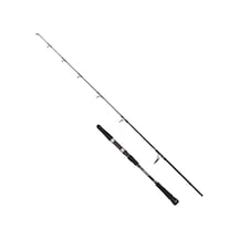 Albastar Novus S Kamış 100-300gr 165cm