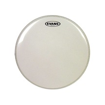 Evans Tt08g1